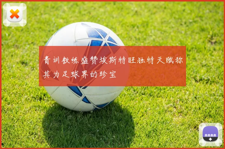 青训教练盛赞埃斯特旺独特天赋称其为足球界的珍宝